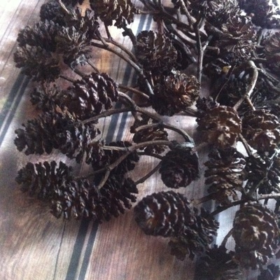 Шишечки вільхи, колір коричневий, близько 100 шт.