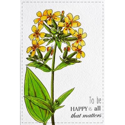 Набір листівок для розмальовування маркерами Botany Summer, ТМ Фабрика Декору