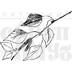 Акрилові штампи дизайну Олена Виноградова "Довга березова гілка"