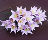 Цветок лилии, розовый, 1 шт.