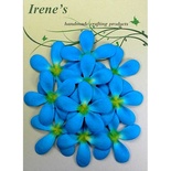 Жасмін, розмір упаковки: 12x16,7 см, колір: блакитний/ жовтий, 10 шт.