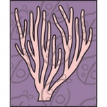 Чипборд (Гілочка корала) маленька