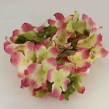 Гарячка рожево-жовта