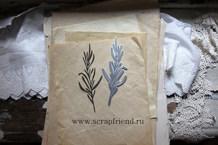 Нож для вырубки от  Scrapfriend - Тархун, 4,5х13,5см