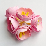 Квіти яблуні, 5шт.ук, діаметр 18-20мм, колір - рожевий
