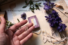 Нож для вырубки от Scrapfriend - Прищепка, 2,5х0,7см