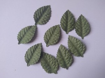 Листики, цвет зеленый, 40х25мм, 10 шт.