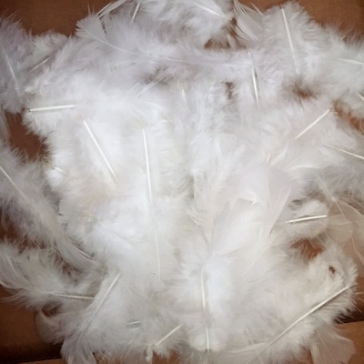 Перья белые пуховые, прим. 100 штук