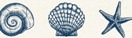 Бумажный скотч с принтом от Scrapberry's - Ракушки, 15мм x 8м