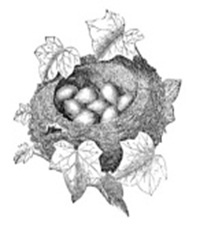 Акриловый штамп FA033 Гнездо, размер 5,1 * 5,6 см