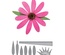 Нож для вырубки от Spellbinders - Create a Flower - Enchinacea
