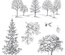Набор резиновых штампов от Stampin'Up - Lovely As A Tree Clear-Mount Stamp Set