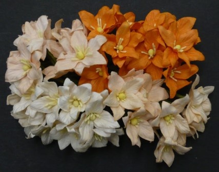 Набор лилий, микс цветов (персиковые и оранжевые оттенки), 30мм, 40 шт.