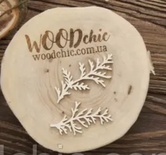 Чипборд Набір гілочки кипариса