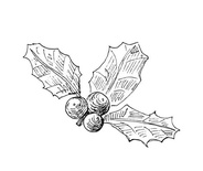 Акриловий штамп SR110 Гостролист, розмір 5,1x3,4 см