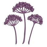 Лезвие Sue Wilson - Finishing Touches Collection - Queen Annes Lace Die    