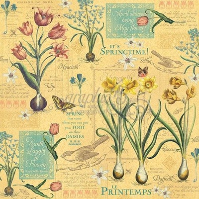 ЦЕНА СНИЖЕНА! Лист бумаги Graphic 45 - Time to Flourish - April Flourish, размер 30х30 см, двусторонняя