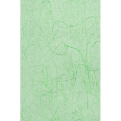 Шовковий папір, зелений, 50*70 см, ТМ Santi