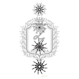 Акриловый штамп Lesia Zgharda SR171 Снежинки большие, набор из 4 штампов