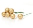 Ягодки круглые на ножке, цвет золотой, 6.0 см х 13 мм, 10шт.