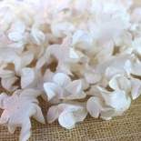 Хвилясті гортензії, колір: білий, діаметр 5см, 1 шт.