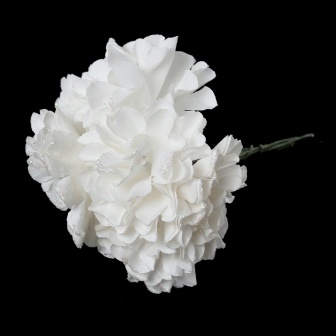 Айстри, колір білий, 9 см, букетик, 6шт.