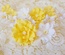 Набір квітів з тканини (15шт.), жовто-білий, 2,5 см - 5 см