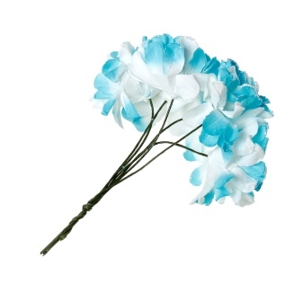 Айстри, колір блакитний/білого, 9 см, букетик, 6шт.