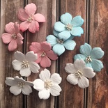 Енотера, колір на вибір, 1 шт.