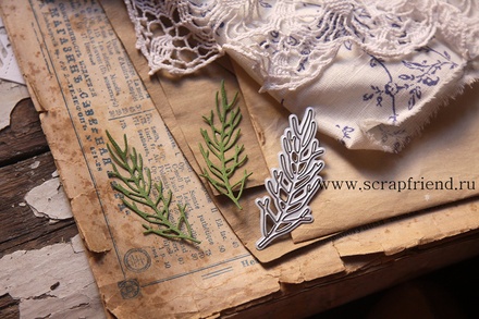 Нож для вырубки от  Scrapfriend - Хвоя, 2х6,5см