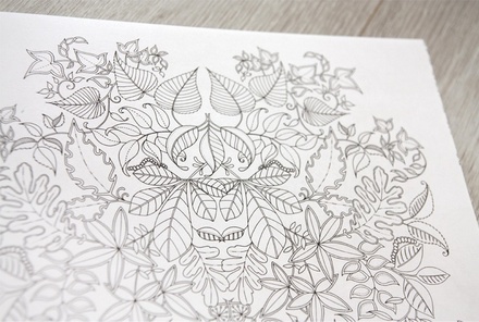 Книга-раскраска (антистресс, раскраска для взрослых) "Чарівний сад" ("Таинственный сад"). Джоанна Басфорд. Арт.000 87106