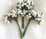 Гілки з напівпрозорими маленькими ягідками, колір білий, 1 пучок з 12 штук