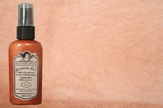 Спрей для штампінгуTatteRed Angels - Bronze - 2 oz