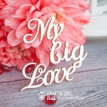 Чипборд ScrapBox — напис My Big Love Hi-233