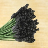 Тычинки тюльпана на проволоке, цвет черный, 5 шт.