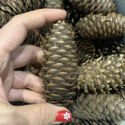 Шишка ялинкова, колір коричневий, 1 шт.