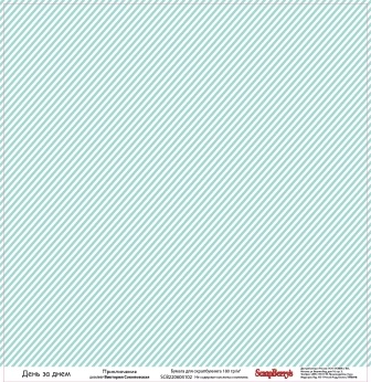 Папір для скрапбукінгу від ScrapBerryʼs - День за днем - Пригоди, 30,5x30,5см, 180 г/м², двосторонній, 1 аркуш