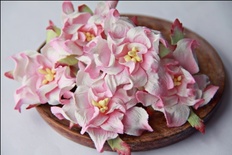 Гардения, диаметр 5 см, цвет розово-белый, 1 шт.