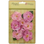 Набір квітів Petaloo - Botanica Ranunculus - Soft Pink