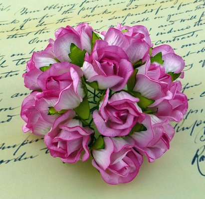 Бутони великі дикої троянди, колір ніжний-рожевий, розмір бутона 2см, 1шт.