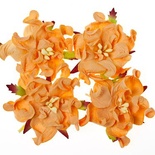 Гардении, набор 4шт., диаметр 5см, персиковые