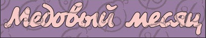 Чипборд. Напис "Медовий місяць" №1
