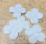 Гортензия белая, диаметр 40 мм, 20 шт