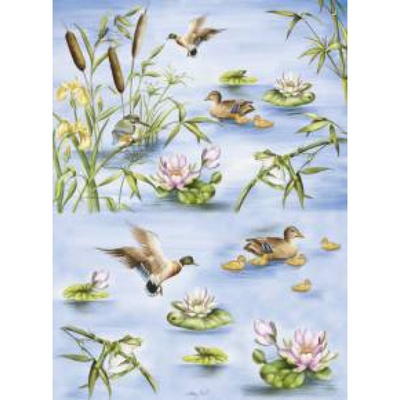 Папір для декупажу "Плесо", розмір: 35x50 см