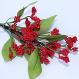 Гілочка, колір червоний