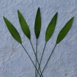 Трава, колір зелений, розмір 8x3мм, 10 шт.