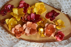 Набор бумажных цветов от WOODchic - Металлизированные 058