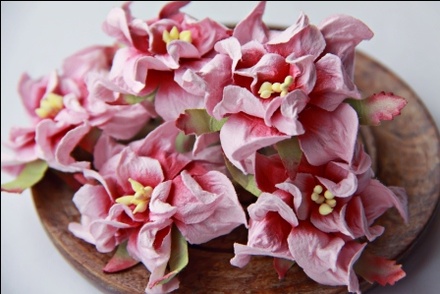 Гардения, диаметр 5 см, цвет розовый, 1 шт.