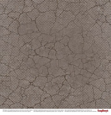 Бумага для скрапбукинга от ScrapBerry's - Этот удивительный мир - Живи моментом, RU, 30,5х30,5 см, 190 гр / м, двусторонняя, 1 шт