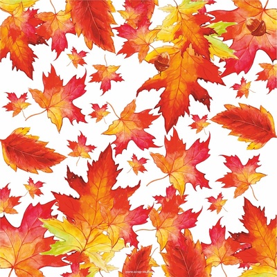 Набір паперу від Євгенія Курдібановська ТМ - "School" 20x20см